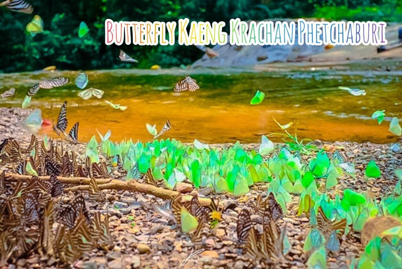 Baan Rai Pray Rung Kaeng Krachan Ban Tha Ling Lom Екстер'єр фото